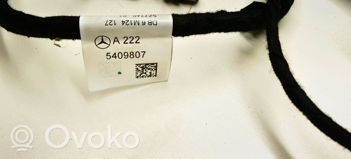 Mercedes-Benz S W222 Wiązka przewodów drzwi przednich A2225409807