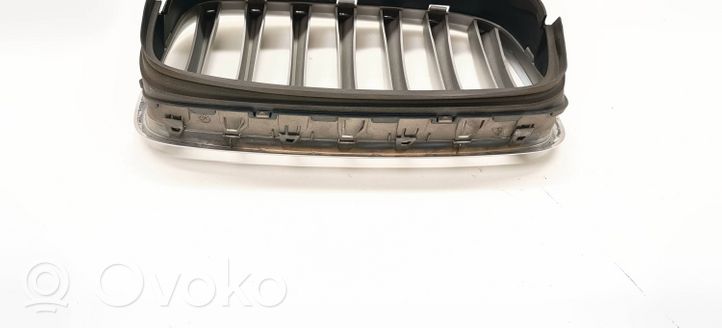 BMW X5 E70 Atrapa chłodnicy / Grill 51137171395