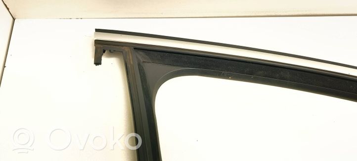 Volkswagen PASSAT B7 Rubber seal front door window/glass 3C4837432