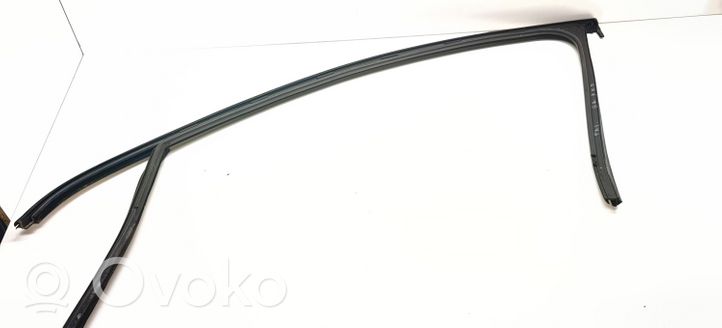 Volkswagen PASSAT B7 Rubber seal front door window/glass 3C4837432