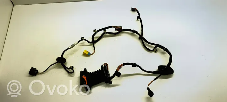 Volkswagen PASSAT B7 Front door wiring loom 3AB971120AG