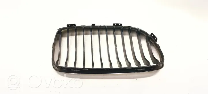 BMW 3 E90 E91 Front grill 51137201967