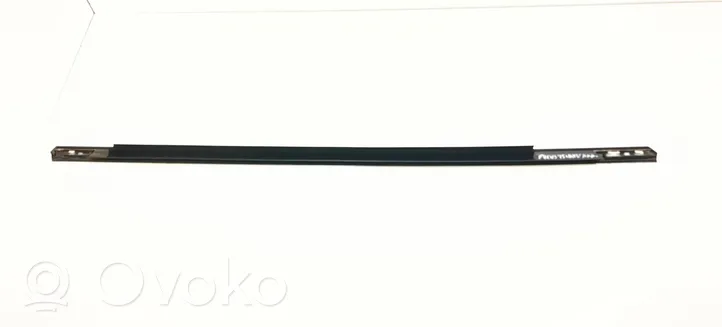 Ford Focus Rear door glass trim molding 