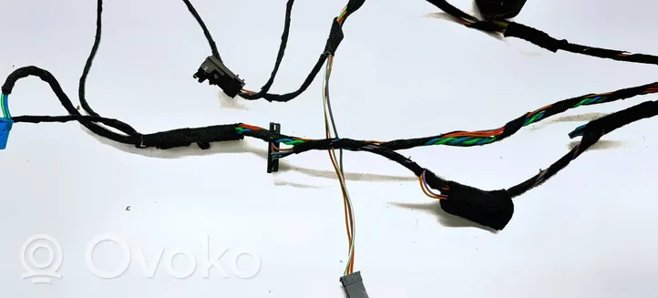 BMW X5 E70 Cableado de puerta trasera 9116978