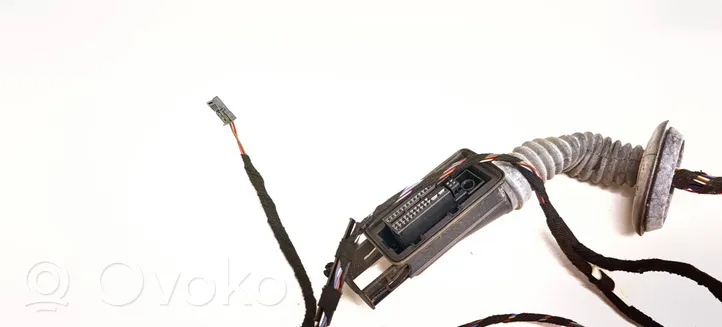 BMW 3 F30 F35 F31 Cableado de puerta delantera 9259761