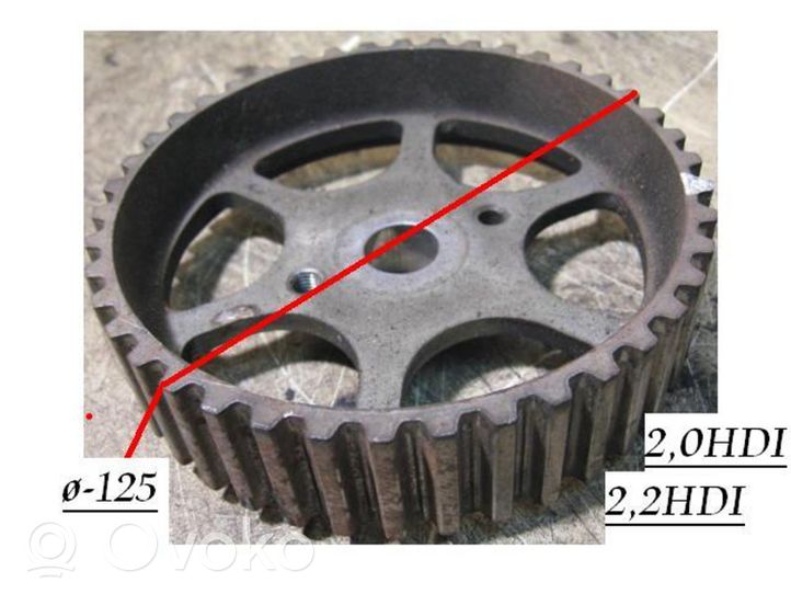 Citroen C5 Koło zębate pompy wtryskowej 