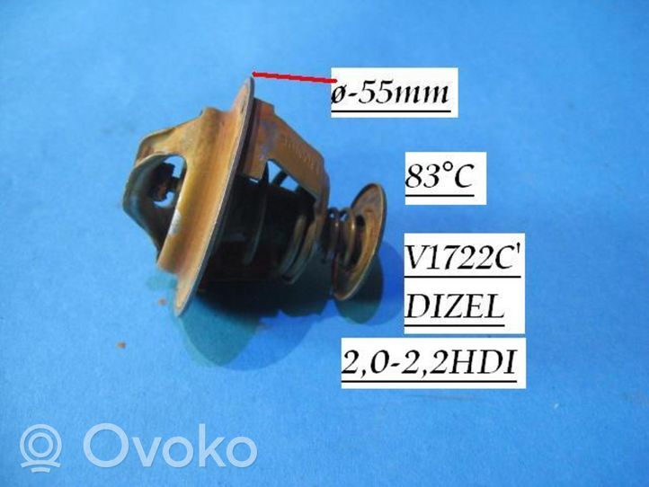 Citroen C5 Termostat V1722C83C