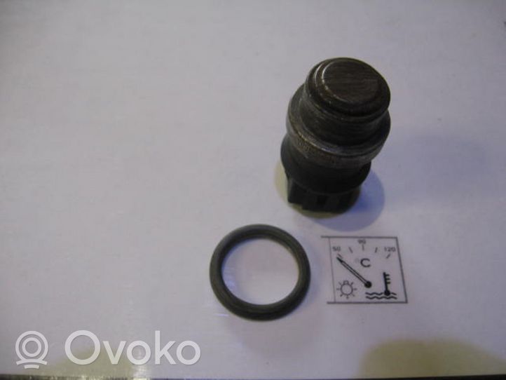 Volkswagen Golf IV Sensore temperatura del liquido di raffreddamento 70191936969A