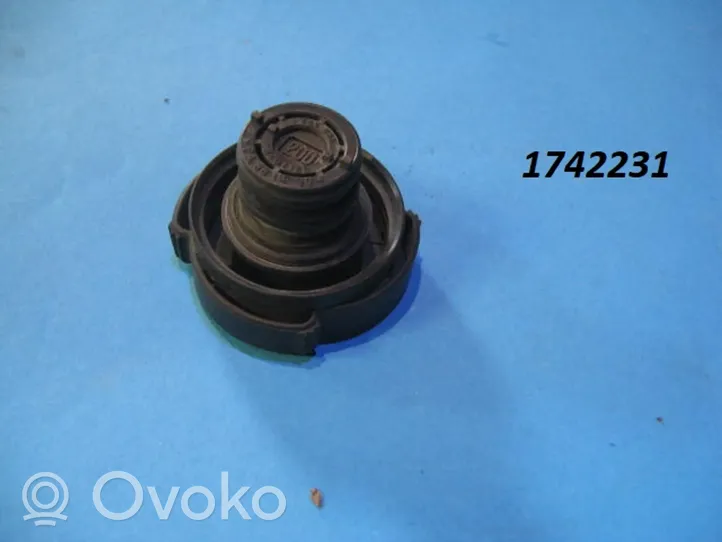 BMW 3 E46 Vase d'expansion / bouchon de réservoir de liquide de refroidissement 1742231