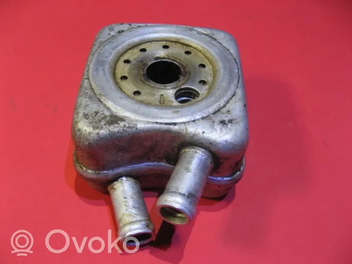 Volkswagen Bora Oil filter mounting bracket 028117021K