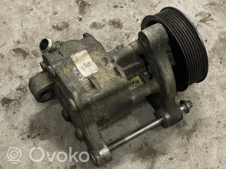 BMW X5 E70 Poulie de pompe de direction assistée LH2113374