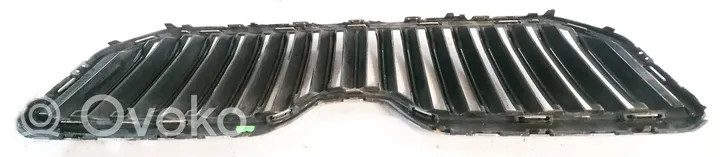 Skoda Yeti (5L) Maskownica / Grill / Atrapa górna chłodnicy 5L0853668B