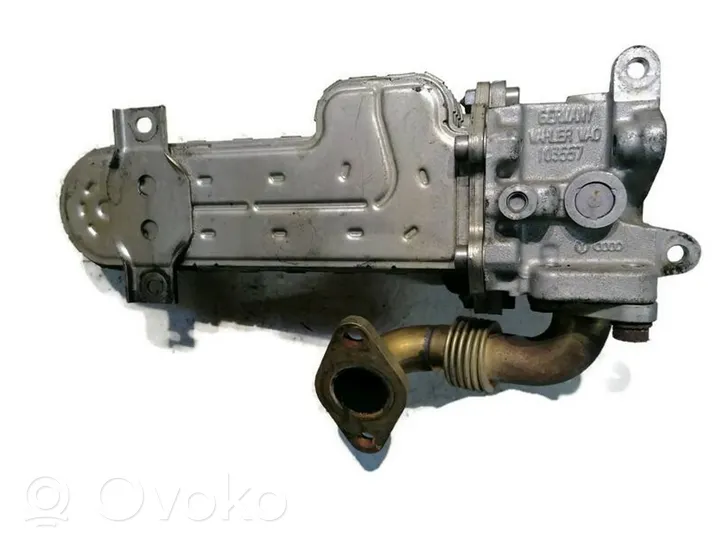 Volkswagen Jetta V Valvola di raffreddamento EGR 030131513J