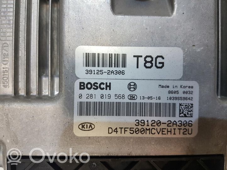 KIA Optima Komputer / Sterownik ECU silnika 0281019568