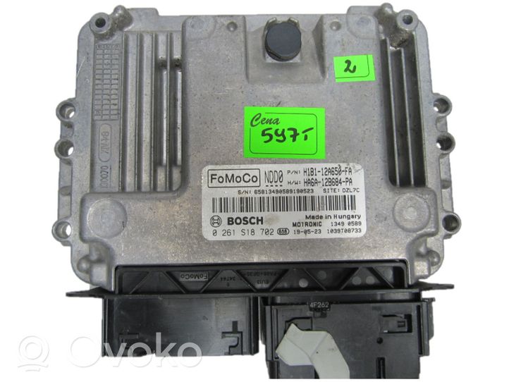 Ford Fiesta Calculateur moteur ECU 0261S18702