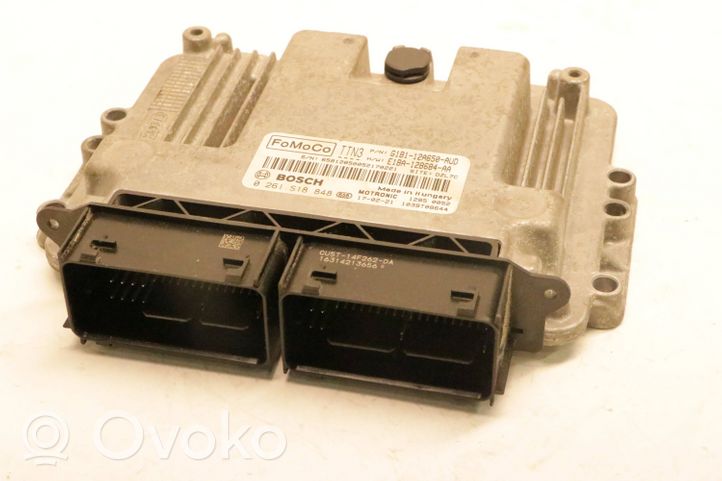 Ford Fiesta Variklio valdymo blokas 0261s18848