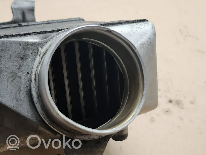 BMW 7 F01 F02 F03 F04 Chłodnica powietrza doładowującego / Intercooler 1751757540303