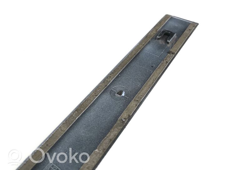 Opel Vectra C Rivestimento della portiera anteriore (modanatura) 13101649