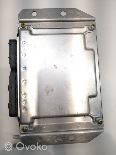 Hyundai Trajet Sterownik / Moduł ECU 3910127110