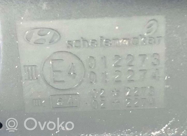 Hyundai Sonata Etuoven sähköinen sivupeili 012273