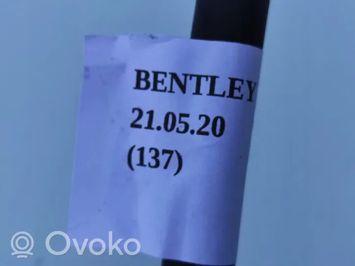 Bentley Continental Negative earth cable (battery) 3W0971106G