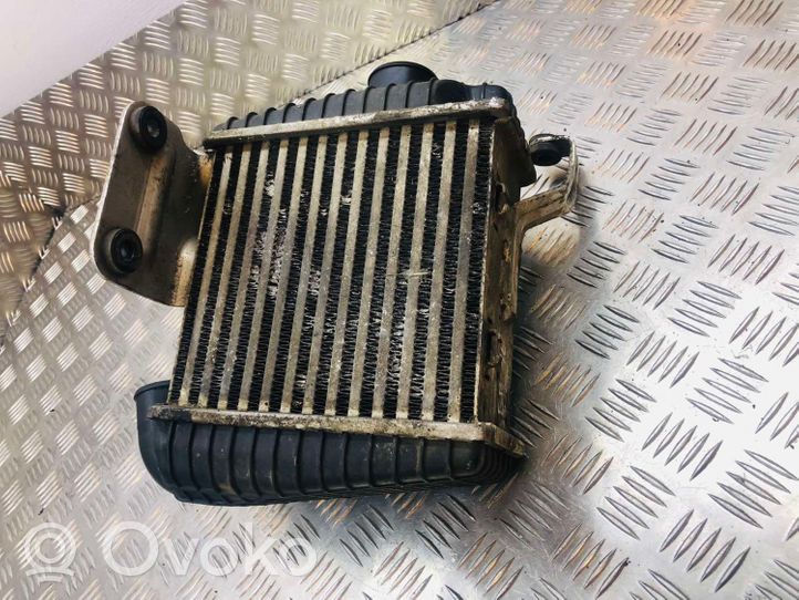 Hyundai Trajet Chłodnica powietrza doładowującego / Intercooler 2827027120