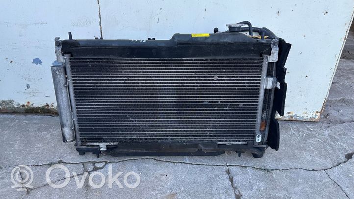 Subaru Forester SJ Kit Radiateur 