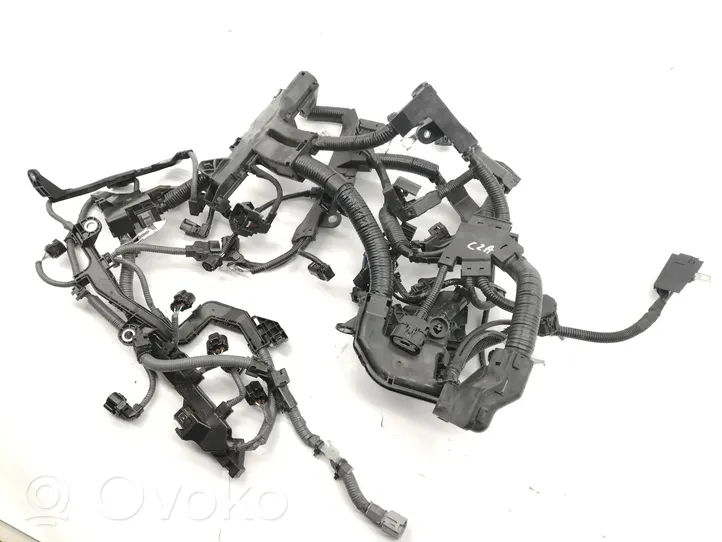 Toyota Yaris Cross Faisceau de câblage pour moteur 828150D500