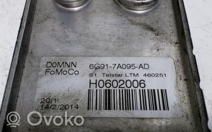 Ford S-MAX Öljynsuodattimen kannake H0602006