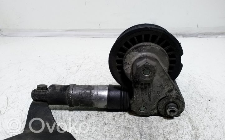 Audi A4 S4 B6 8E 8H Napinacz paska wielorowkowego / Alternatora 038145283