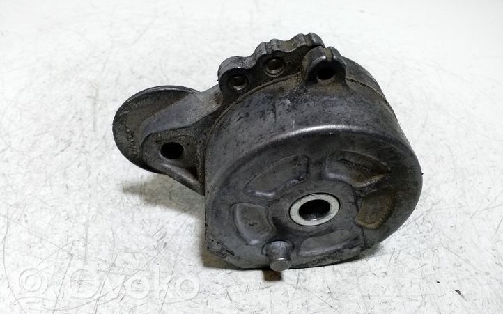 Peugeot 807 Napinacz paska wielorowkowego / Alternatora 3091310