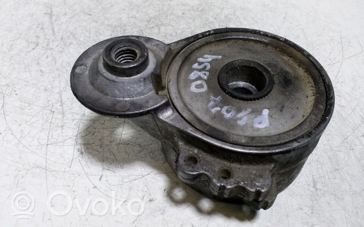 Peugeot 807 Napinacz paska wielorowkowego / Alternatora 3091310