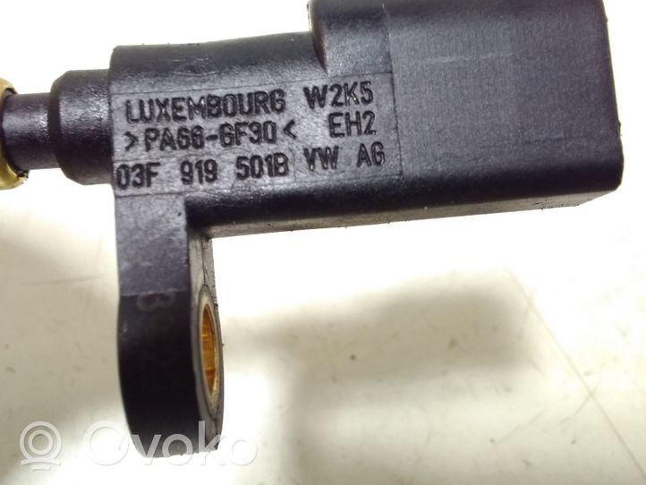 Volkswagen PASSAT B8 Sonde de température de liquide de refroidissement 03F919501B