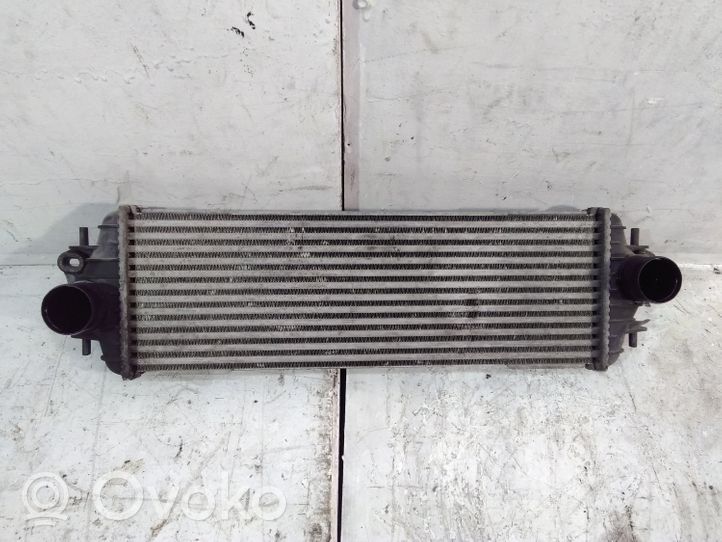 Nissan Primastar Radiatore intercooler 7700312903F