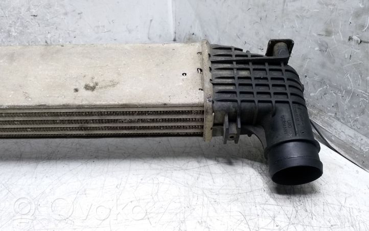 Ford Galaxy Radiatore intercooler 0823856