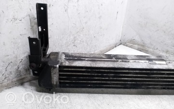 Opel Sintra Chłodnica powietrza doładowującego / Intercooler 4865540002