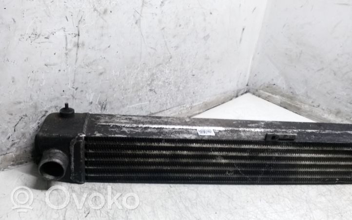 Opel Sintra Chłodnica powietrza doładowującego / Intercooler 4865540002