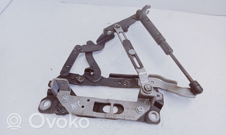 BMW 5 F10 F11 Cerniere del vano motore/cofano 7186987