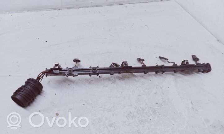 Volkswagen Touareg I Degalų purkštukų (forsunkių) laidai 070971033