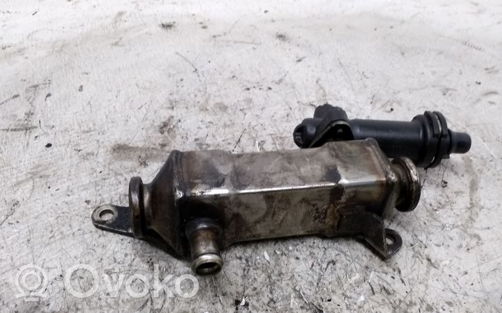 BMW 5 E39 Valvola di raffreddamento EGR 778740403