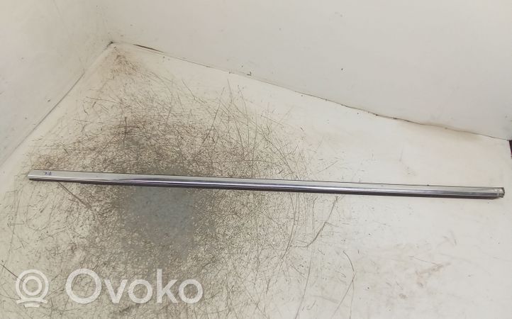 Volvo S60 Front door glass trim molding 