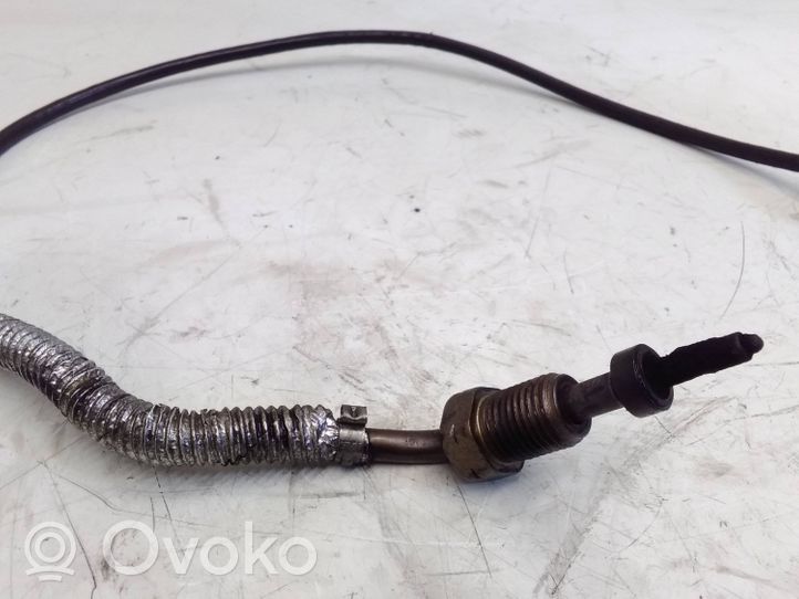 Volkswagen Sharan Exhaust gas temperature sensor 04L906088DT