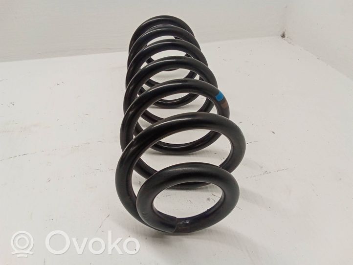 Volkswagen Tiguan Rear coil spring 