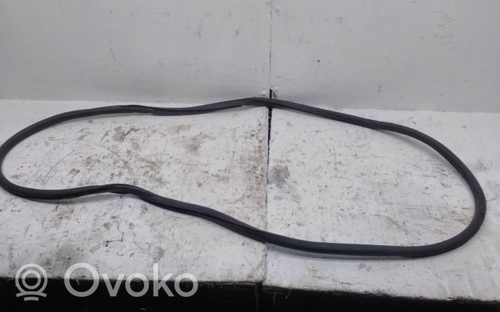 Volkswagen Tiguan Sandarinimo guma priekinių durų (ant kėbulo) DA06639C