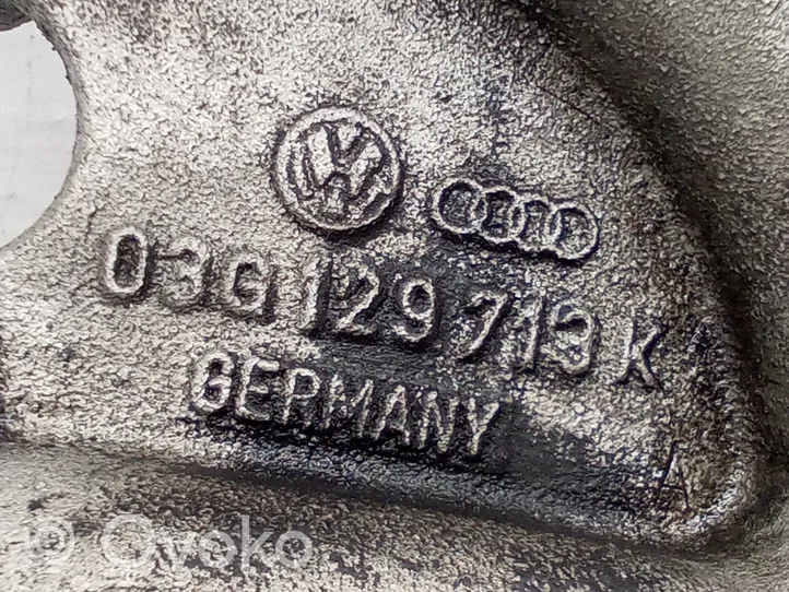 Volkswagen Caddy Intake manifold 03G129713K