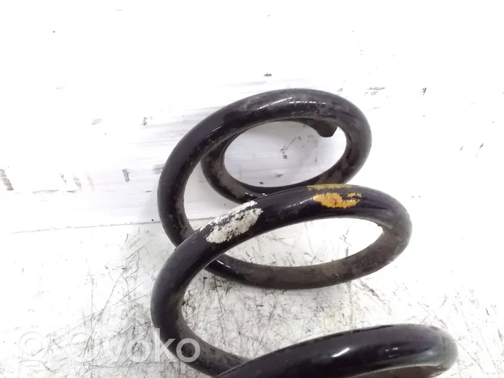 Renault Megane II Rear coil spring 