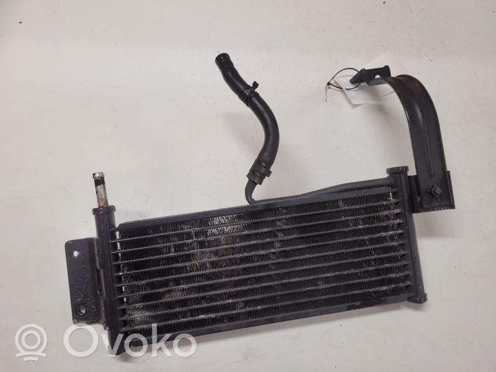 KIA Sorento Radiatore dell’olio del motore 254603E810