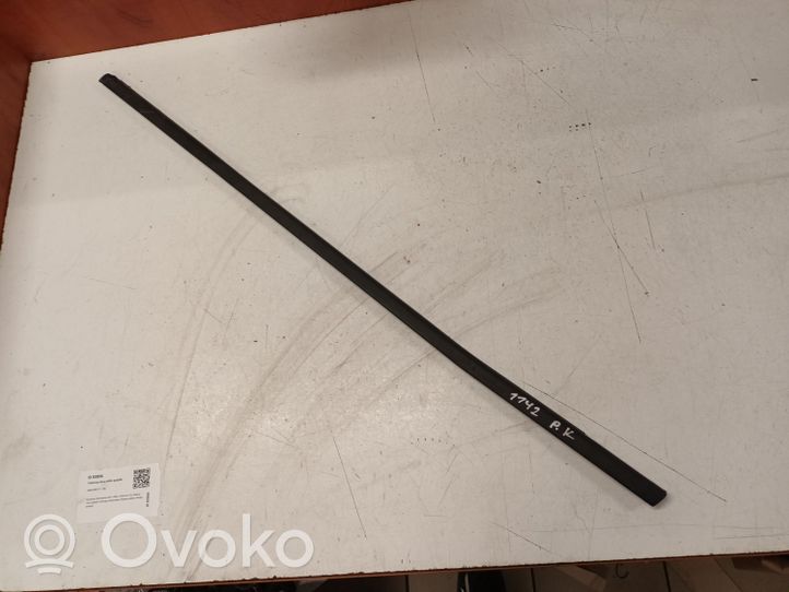 Volvo V60 Front door glass trim molding 