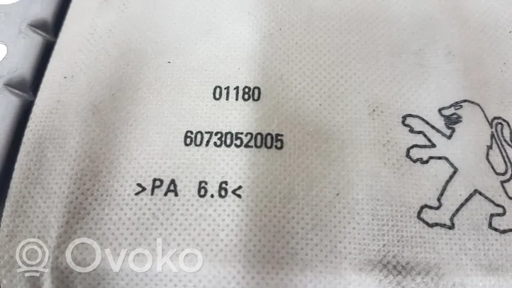 Peugeot 308 Airbag del passeggero 6073052005