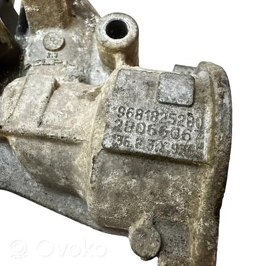 Citroen C5 EGR valve 9681825280